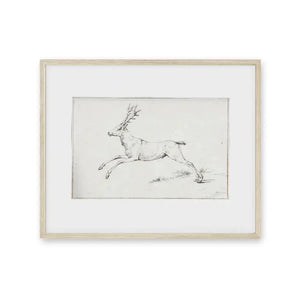 Reindeer Sketch Print