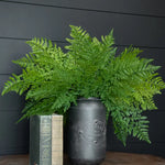 20" Leather Fern Bundle