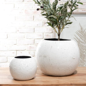 Fynn Ceramic Planter