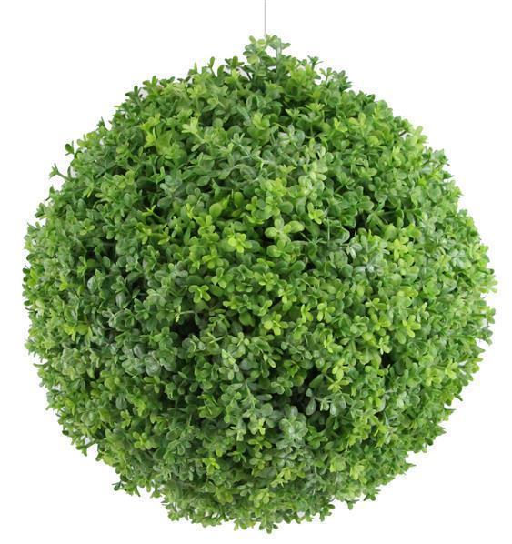 6" Creeping Thyme Ball