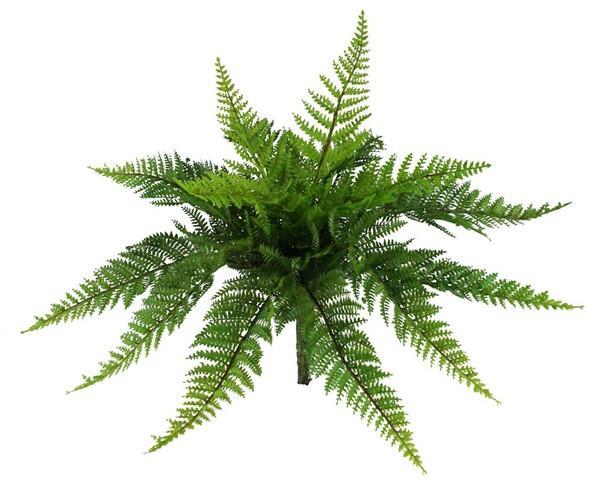 15" Fern Bush