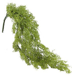 29" Lichen Moss Hanging Bush