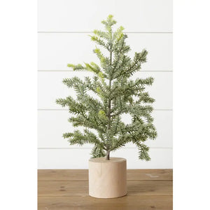 Frosted Pine in Wooden Base