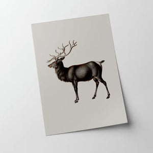 Vintage Reindeer Print