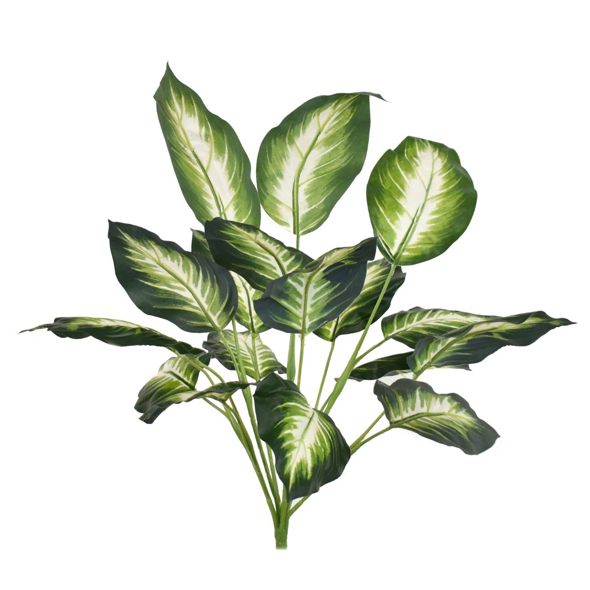 18" Hasta Leaf Plant