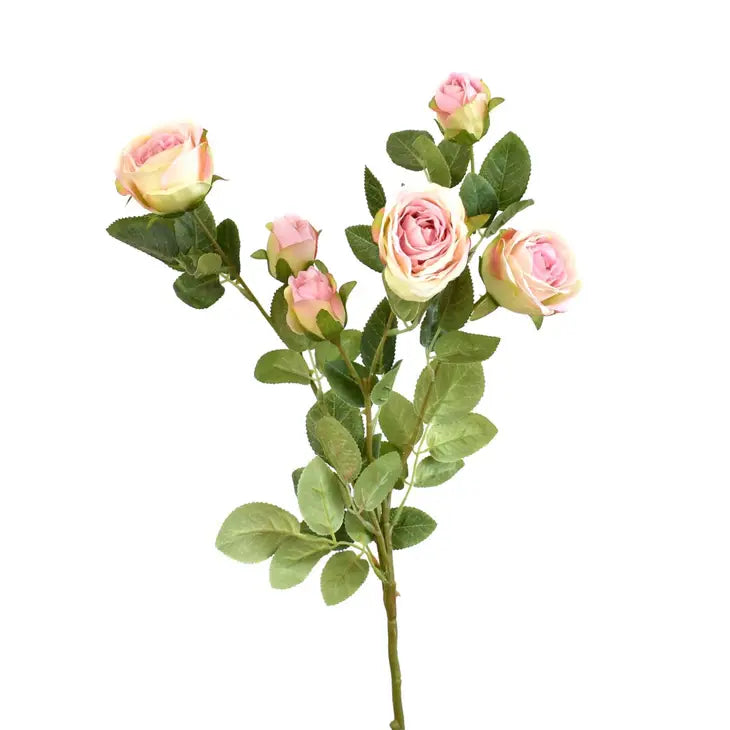 25” Garden Rose Stem
