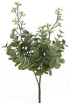11" Mini Eucalyptus Moss Green