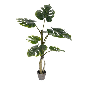 38" Potted Split Philodendron Tree